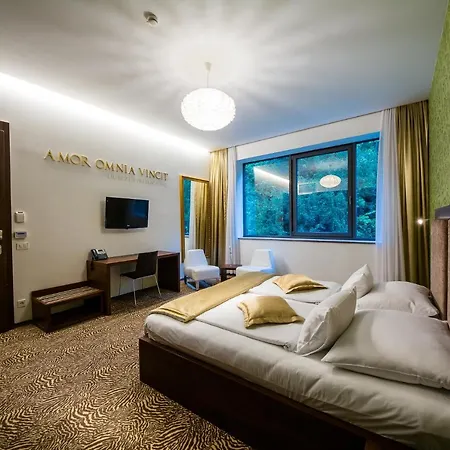 Hotel Rimske Terme - Rimski Dvor Rimske Toplice